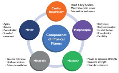 Prevención y tratamiento del riesgo cardiovascular